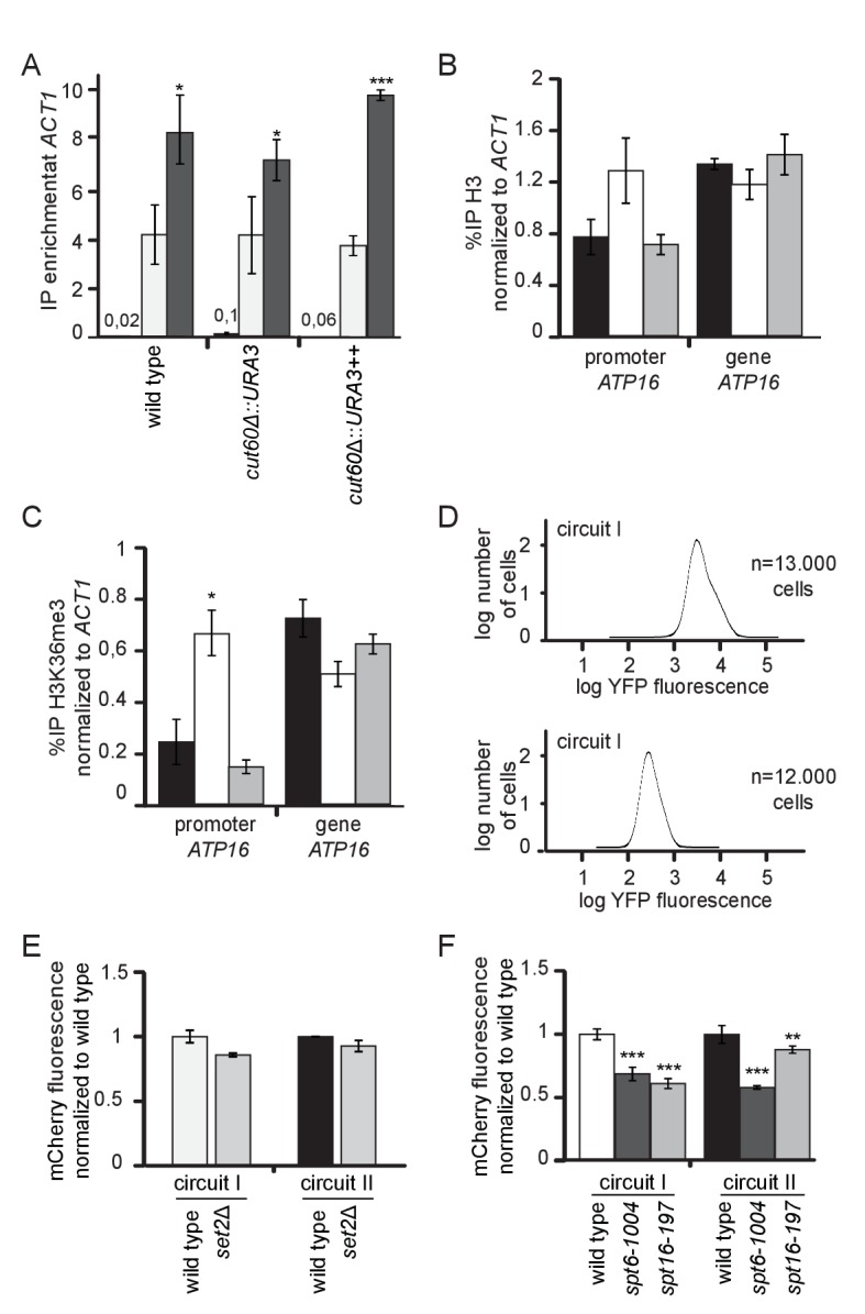 Figure 4—figure supplement 1.