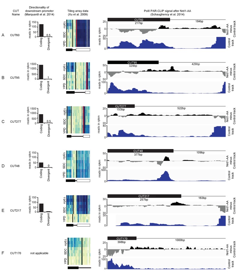 Figure 3—figure supplement 2.