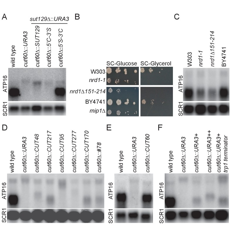 Figure 3.