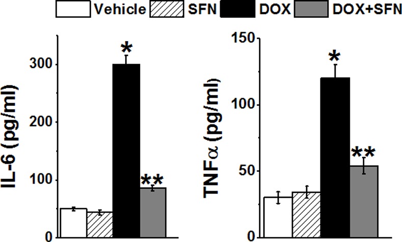 Fig 11