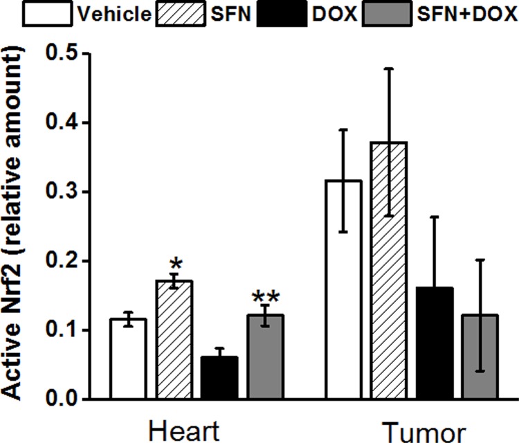 Fig 10