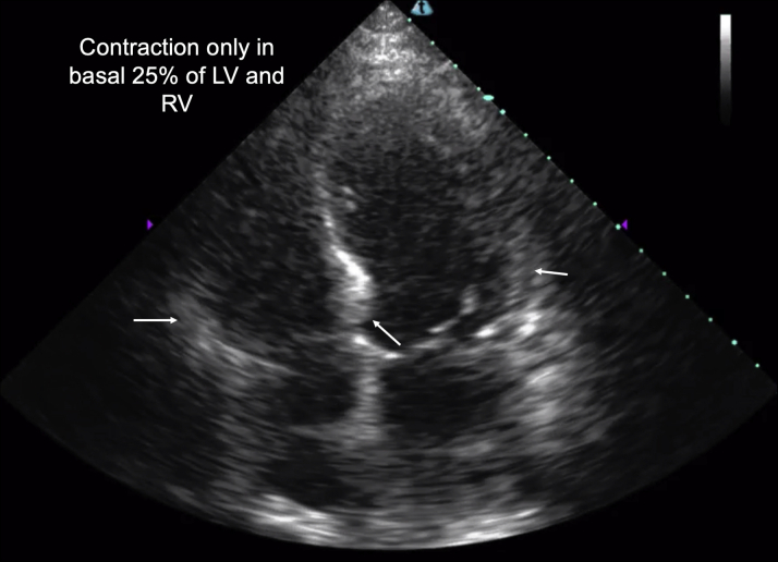 Figure 5