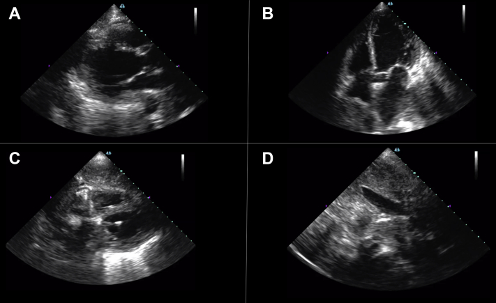 Figure 3