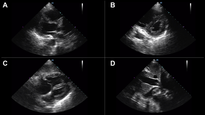 Figure 6