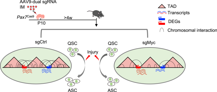 Figure 7