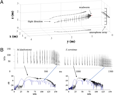 Fig. 1.