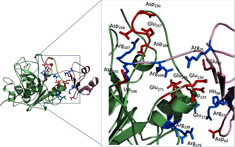 FIGURE 7.