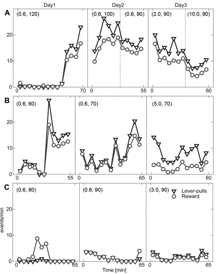 Fig. 3