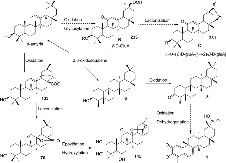 Fig. 8