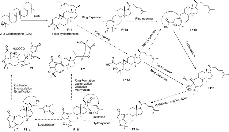 Fig. 11