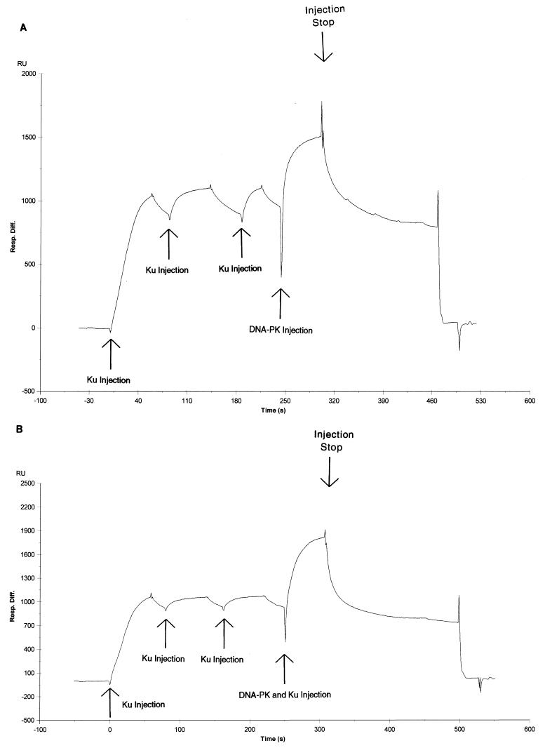 FIG. 8