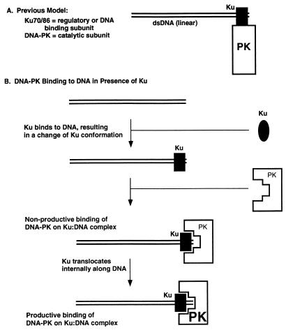 FIG. 10