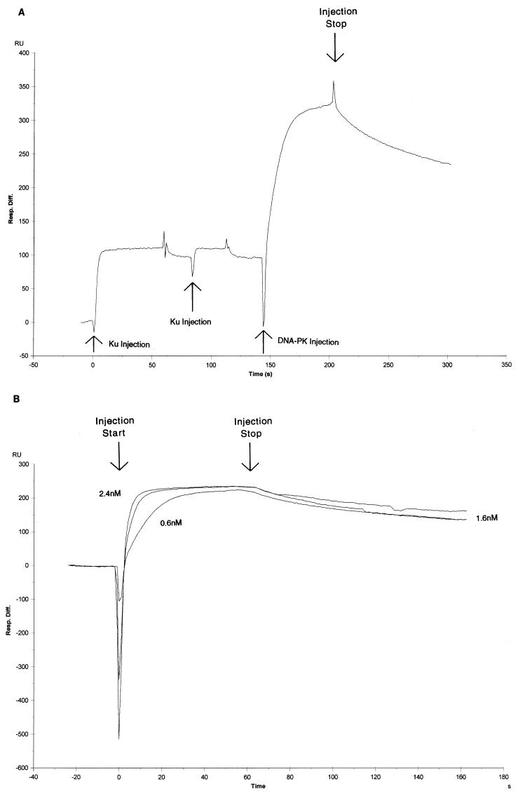 FIG. 7