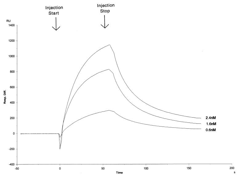 FIG. 6