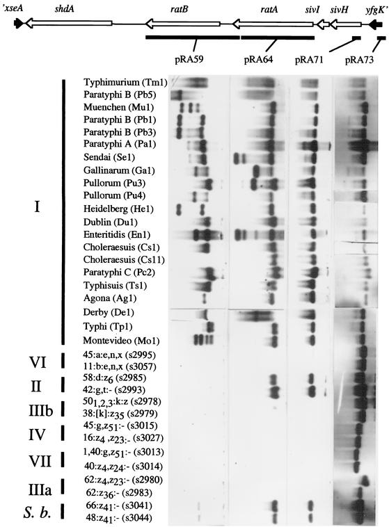 FIG. 3.