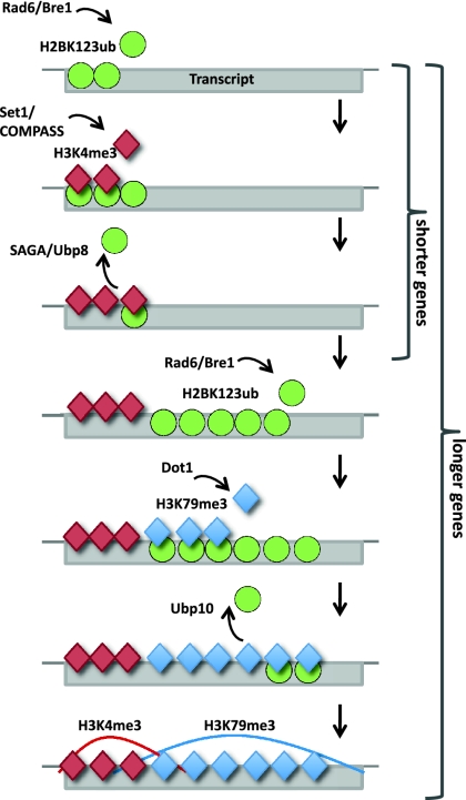 Figure 5.