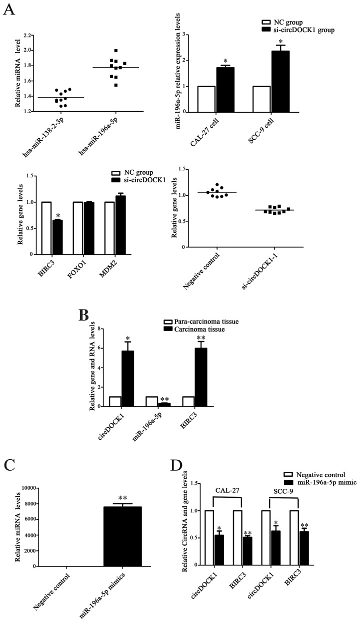 Figure 6.