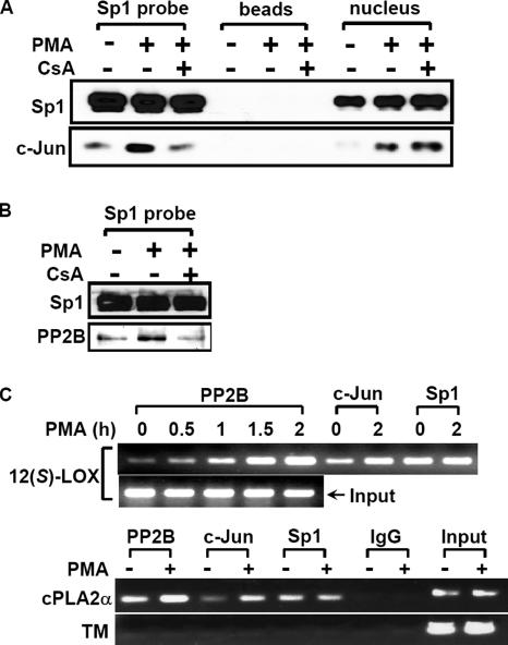 Figure 7.