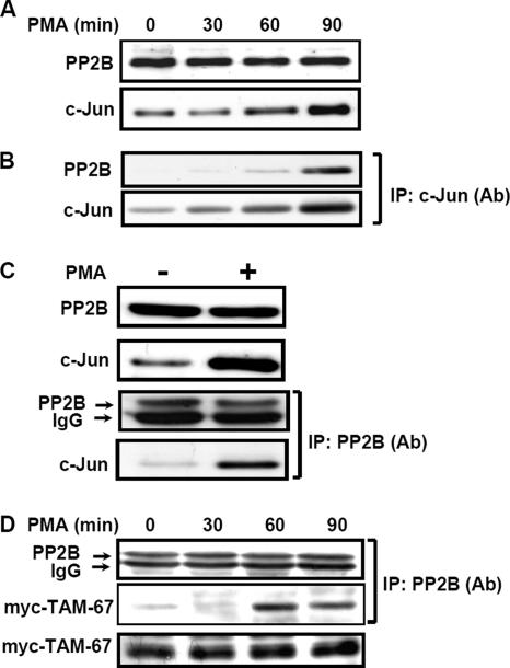 Figure 5.