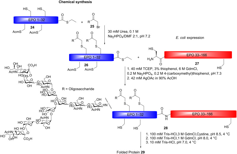 Scheme 4