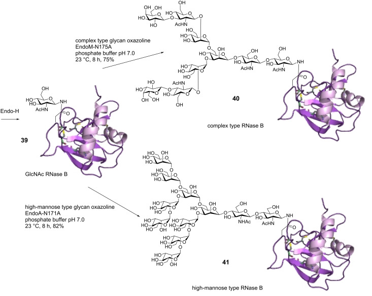 Scheme 7