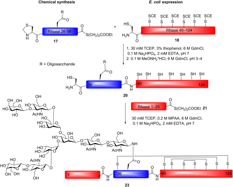 Scheme 3