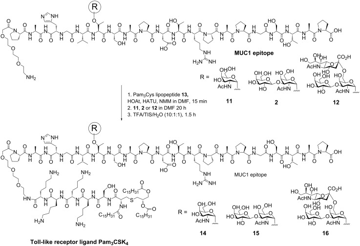 Scheme 2