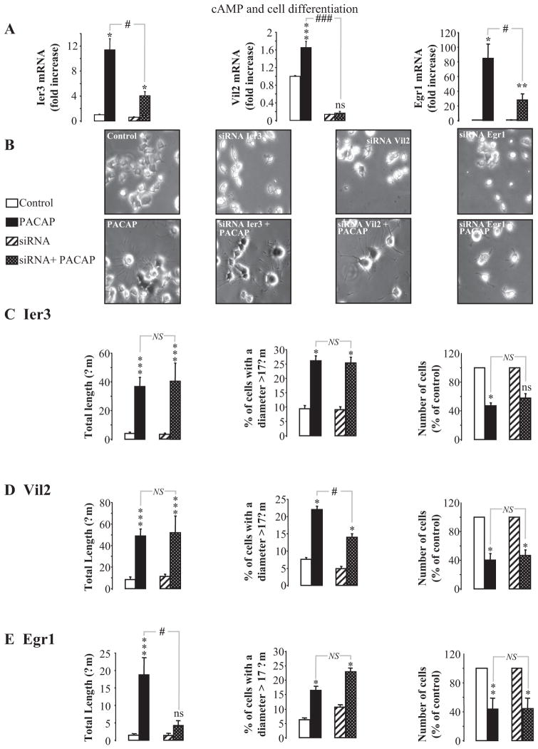 Fig. 11