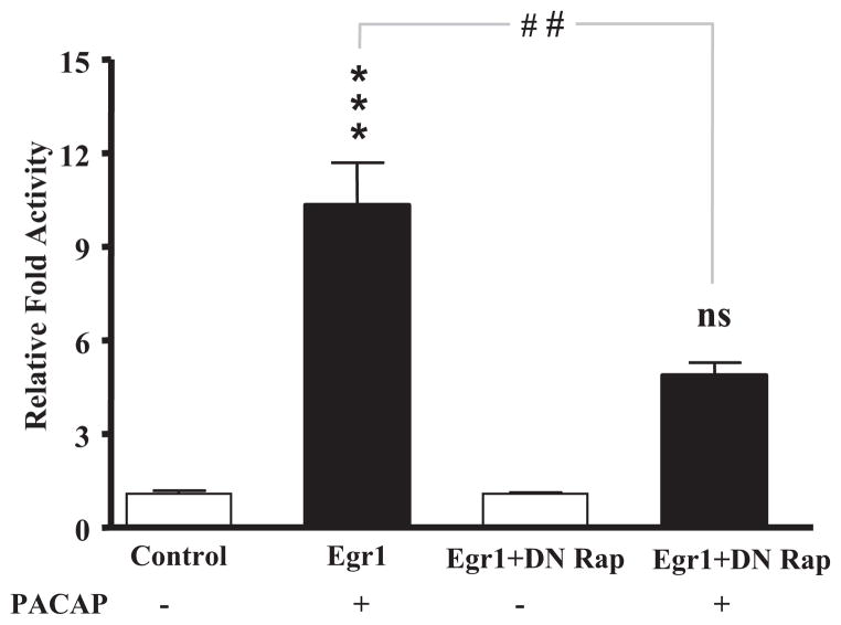 Fig. 12