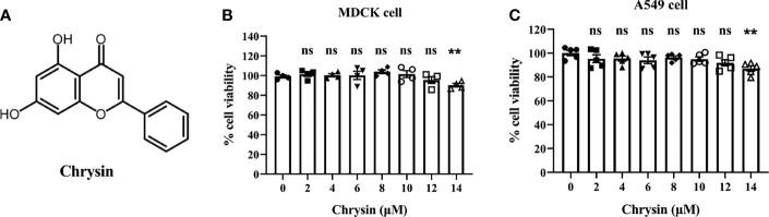 Figure 1