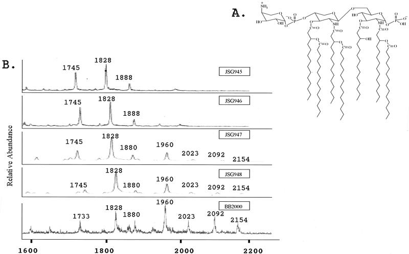 FIG. 2