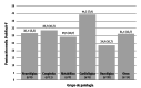 Figura 1
