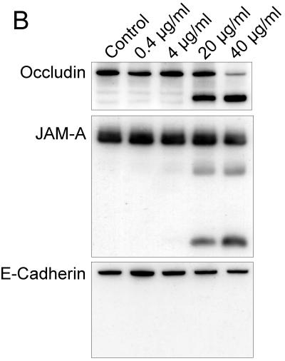 FIG.3.