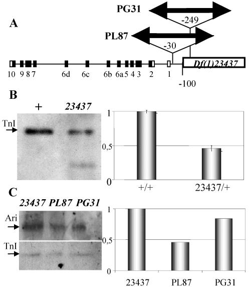 Figure 7.