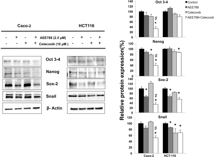 Fig 10