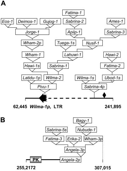 Figure 6.