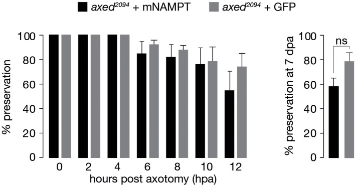 Figure 4—figure supplement 2.