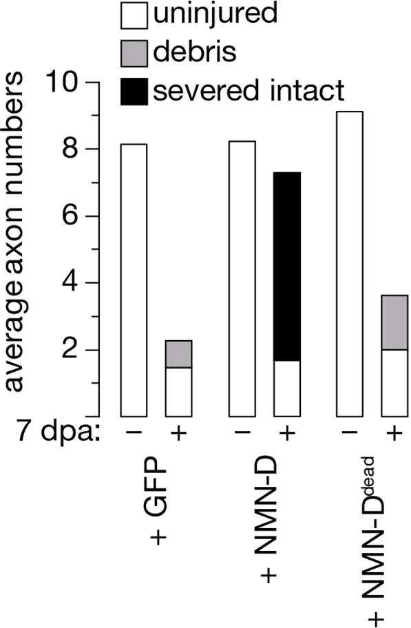 Figure 1—figure supplement 3.