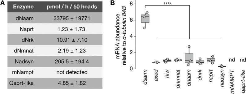 Figure 2—figure supplement 1.