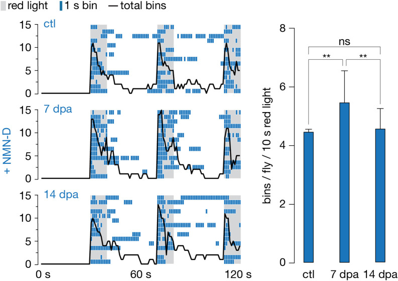 Figure 3—figure supplement 1.