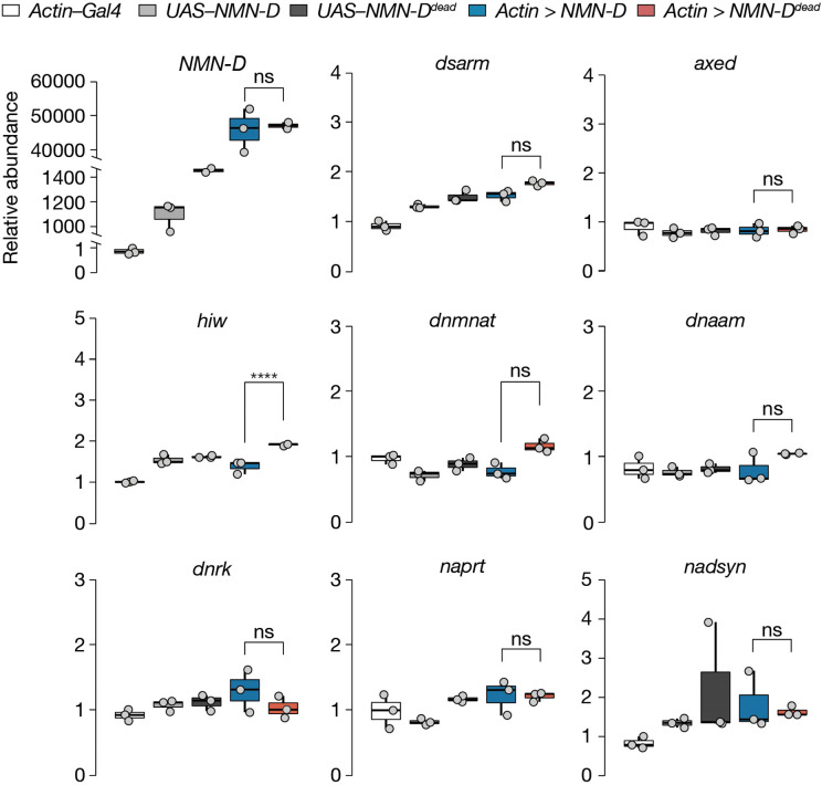 Figure 2—figure supplement 2.