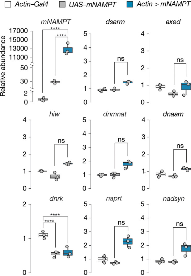 Figure 4—figure supplement 1.