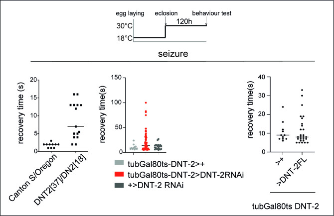 Figure 6—figure supplement 2.