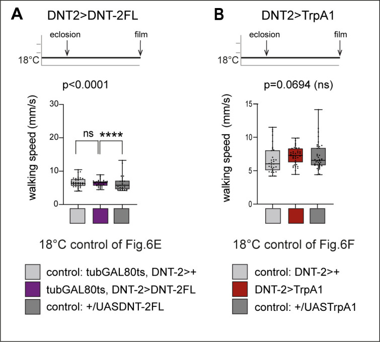 Figure 6—figure supplement 1.