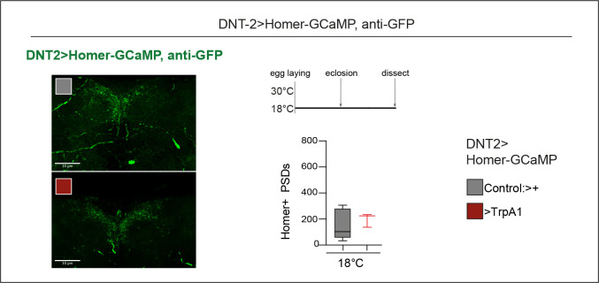 Figure 5—figure supplement 2.