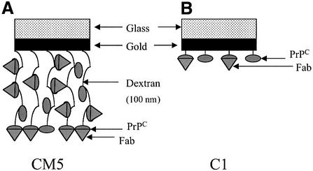 graphic file with name cde158f2.jpg