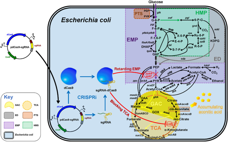 Fig. 1