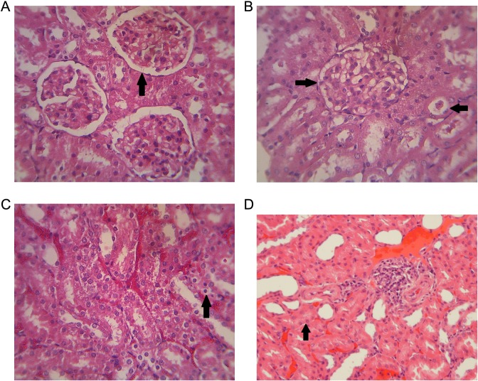 Figure 5.