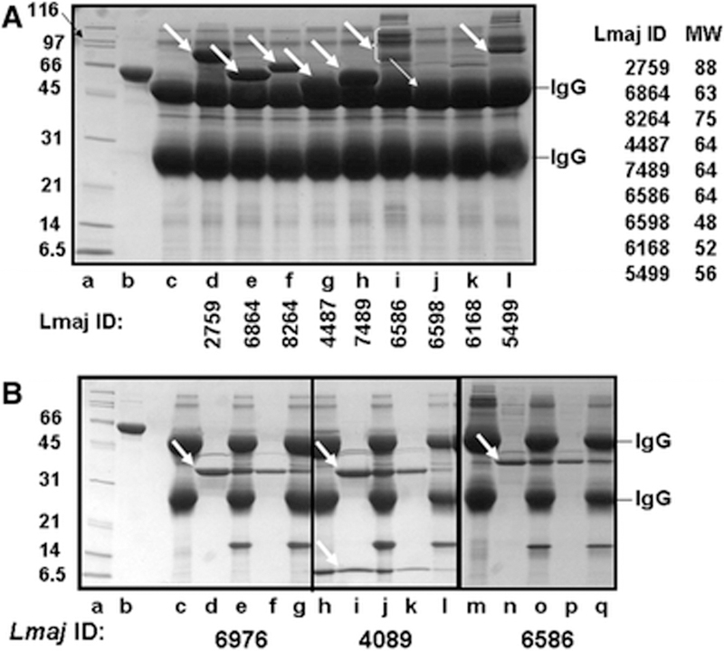 Figure 4: