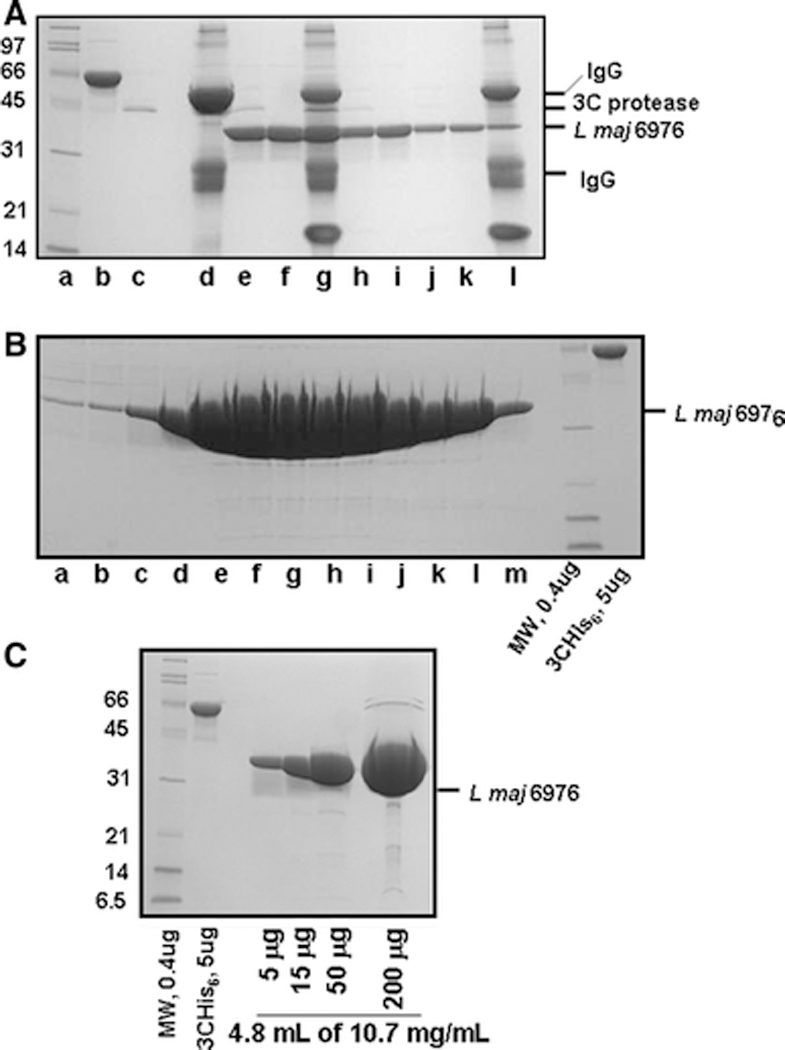 Figure 5: